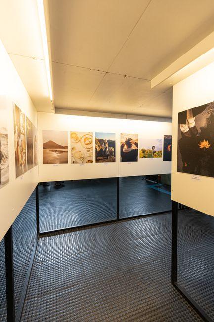 A contemporary gallery exhibition showcasing diverse photography artworks on illuminated panels.