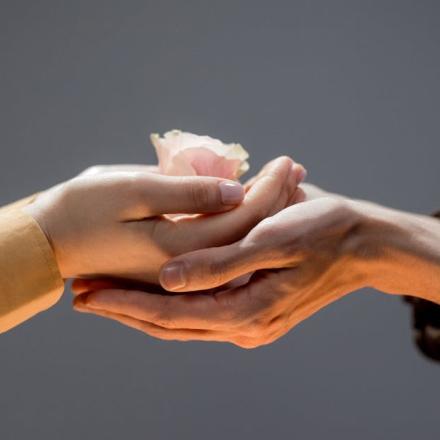 Close-up of hands exchanging a delicate rose, symbolizing care and connection.