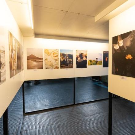 A contemporary gallery exhibition showcasing diverse photography artworks on illuminated panels.