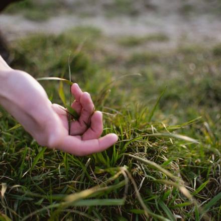 Crop unrecognizable female in knitted wear touching green grass while spending time in nature