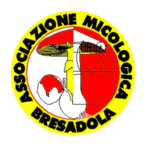 Logo Associazione