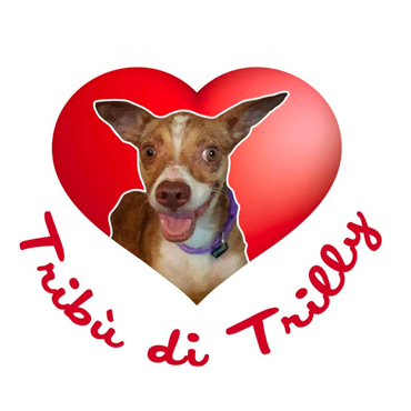 Logo Associazione